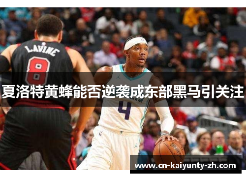 夏洛特黄蜂能否逆袭成东部黑马引关注